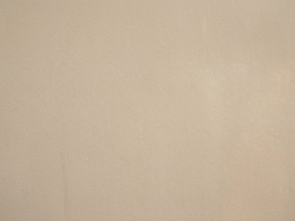日の当たる面だけ色あせた外壁